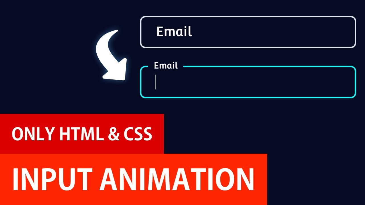 input type  Update New  Nhập ảnh động bằng HTML và CSS | Hoạt ảnh nhãn đầu vào
