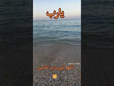 يارب