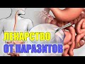 ЧТО ПИТЬ ЧТОБЫ ВЫВЕСТИ ПАРАЗИТОВ ИЗ ОРГАНИЗМА