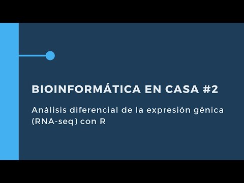 Vídeo: Una Encuesta De Las Mejores Prácticas Para El Análisis De Datos De RNA-seq