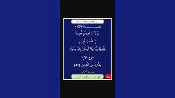 سورة القصص - سورة 28 - اية (47)