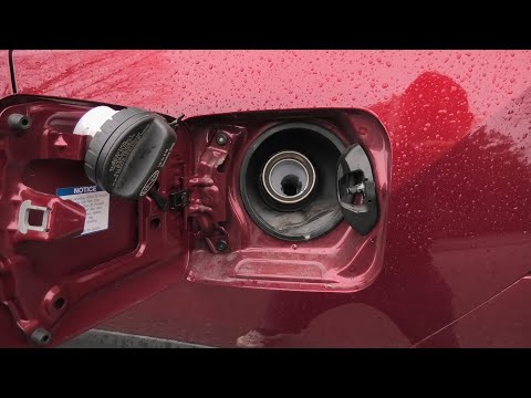Toyota RAV4 (2019-2025):