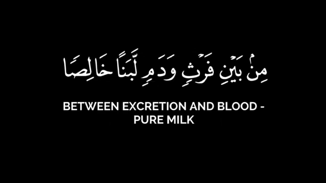 {والله أنزل من السماء ماء}|محمد اللحيدان| {سورة النحل}