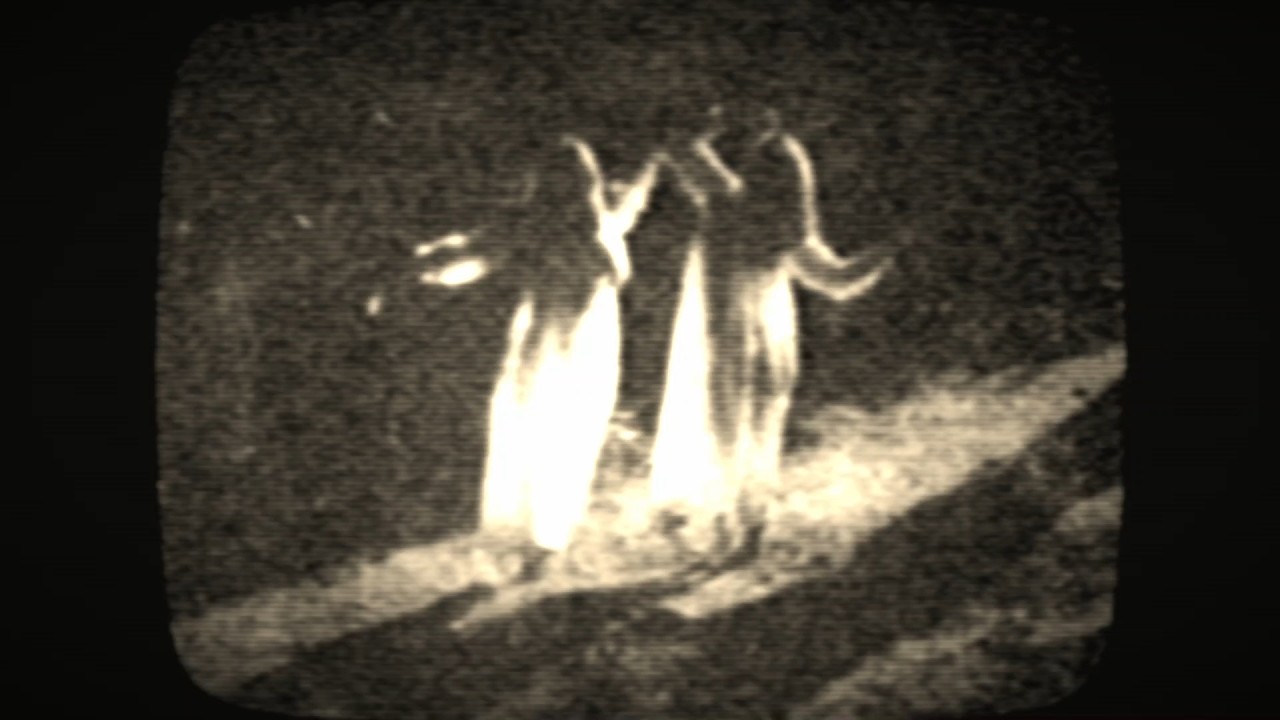 only a precious few remain today [extended edit]