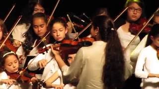 Festival De Ensambles Neuquen - Ensamble De Flautas Traversas Y De Violines