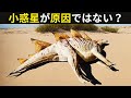 恐竜の滅亡は小惑星の衝突以前から始まっていた説