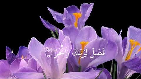 سورة الكوثر بصوت القارئ محمد أيوب رحمه الله