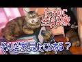 部屋にたけのこ生えてきたんだけどヤバすぎ😂💦