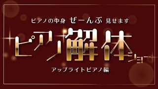 ピアノの中身、ぜーんぶ見せます！ピアノ解体ショーアップライトピアノ編【2020楽器フェアオンライン】