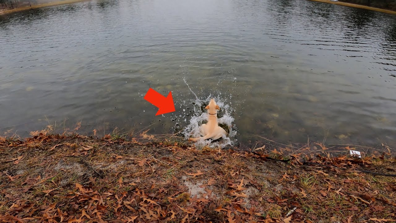 The Best Bait to Catch BIG Bass During the Holidays… Featuring Tony