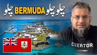 Let's Go to Bermuda! | چلو چلو برمودا چلو | Bermuda Visa | Digital Nomad Visa |