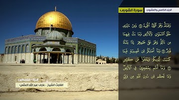 عارف العشي سورة الشورى إلى سورة الجاثية