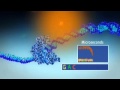 Single molecule real time sequencing  pacific biosciences