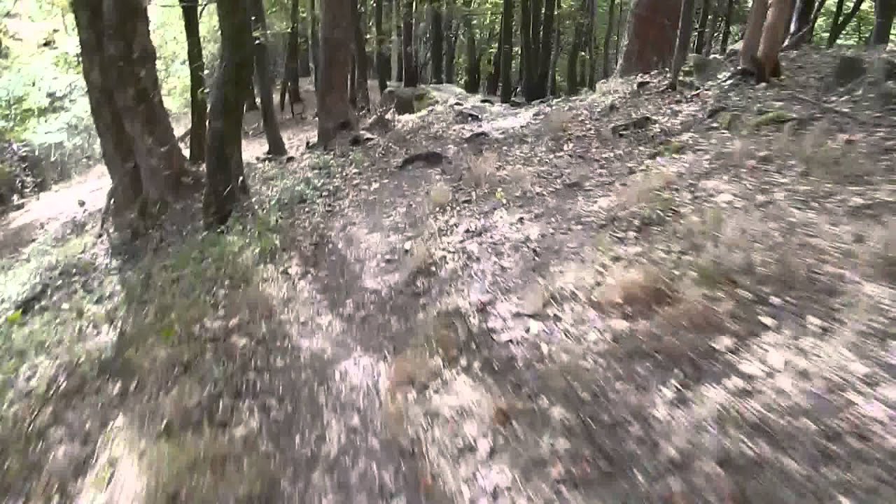 Kozloff downhill