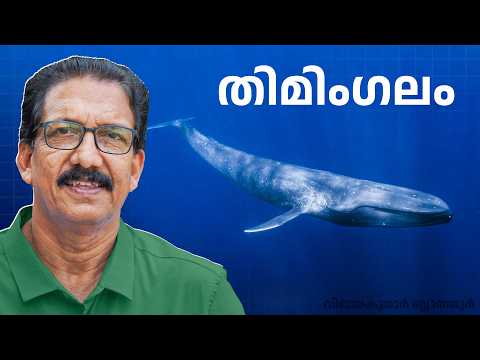 തിമിംഗലങ്ങളുടെ ജീവിതം. പരിണാമം അതിജീവനം  The Ultimate Guide to Whale Evolution and Biology