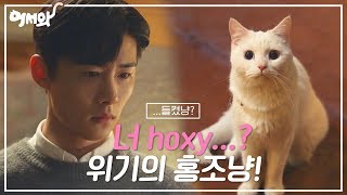 [#어서와] 너 hoxy...? 재선이에게 정체를 들켜버린 홍조냥 ㅣ KBS방송