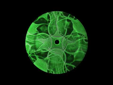 Meg Ward — Meg Ward - TekHerGucci [DISTANT012]