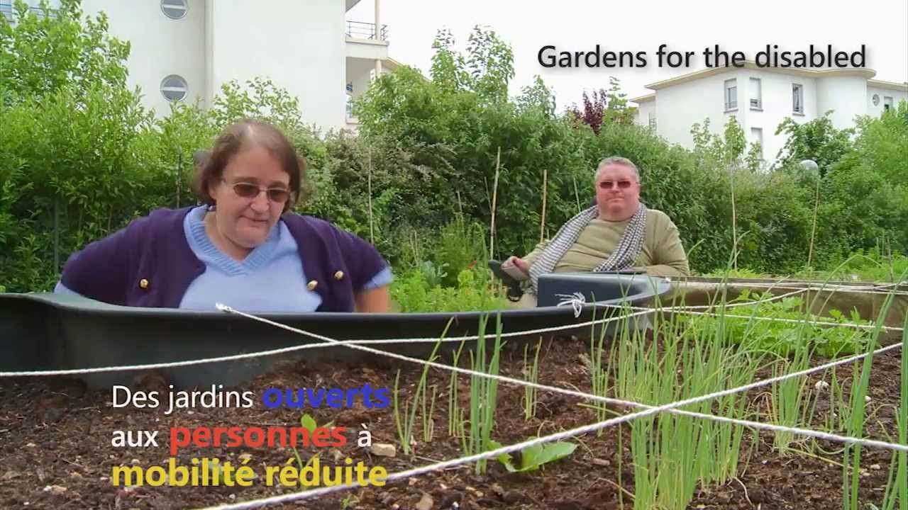 Les jardins familiaux du Chaudron à La Réunion | Sur le terrain