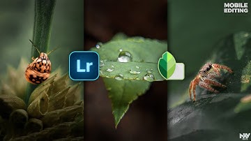 Make Your MACRO PHOTOS Amazing Using LIGHTROOM And SNAPSEED Free Apps | Android | iOS