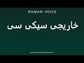    خاریجی سیکی سی