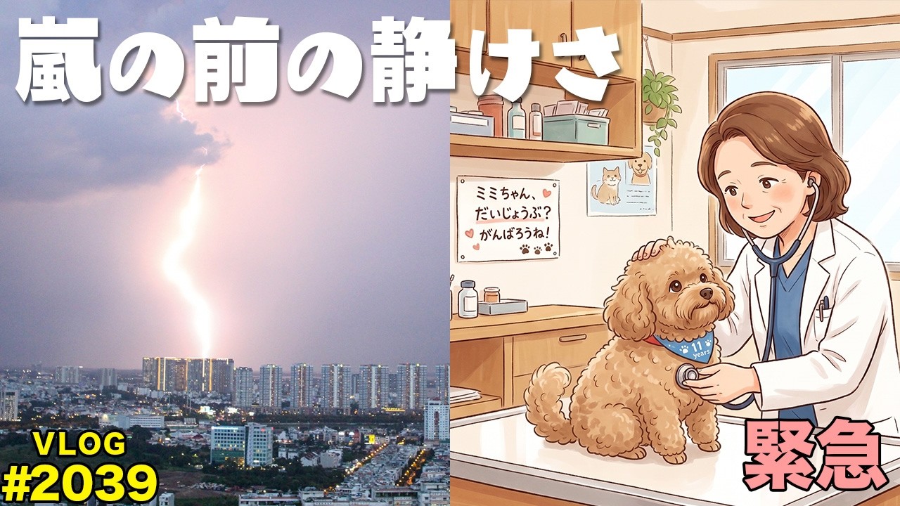 嵐 - みーちゃん The calm before the storm? Peace the day before Prime Day, Mimi