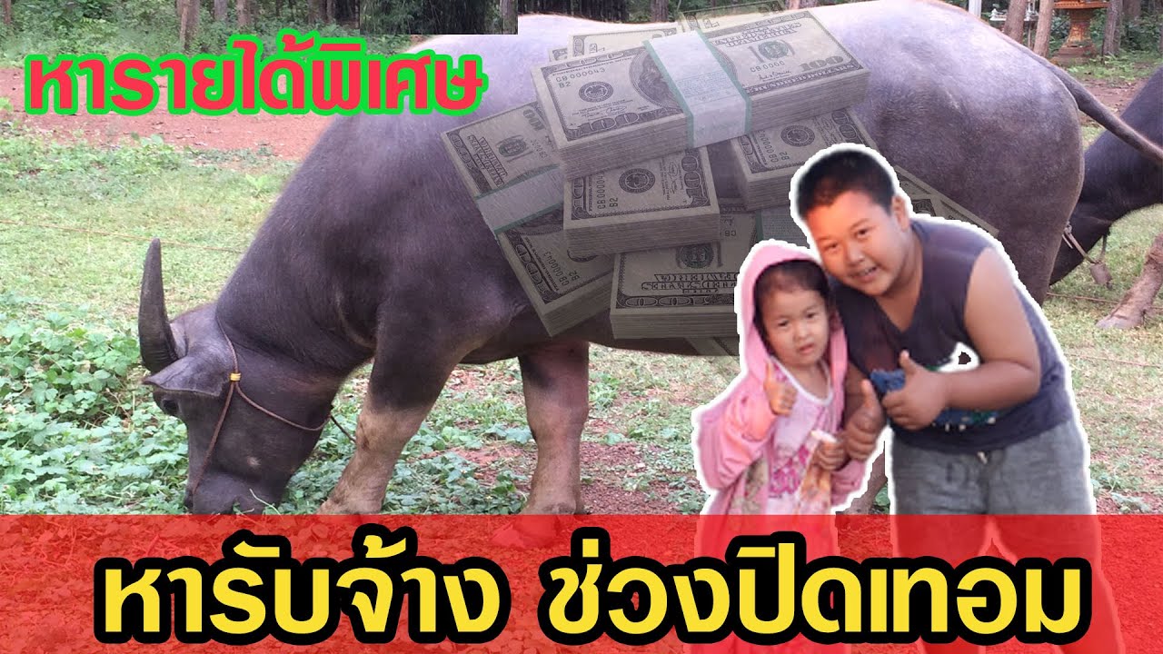 หา งาน ทำ ช่วง ปิด เทอม 2022 หางานทำช่วงปิดเทอม หนีห่างจากมือถือ และโควิค19