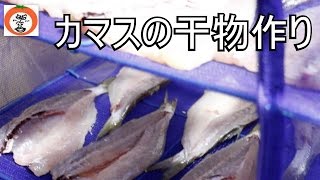 かます の 開き を作ってみた。【 うろうろ和歌山 】【 雑賀崎 界隈シリーズ35】 和歌山県 和歌山市 新鮮 な 魚 （ 雑賀崎 漁港 ） Saikazaki Wakayama