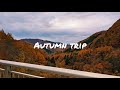 Autumn trip with my friends