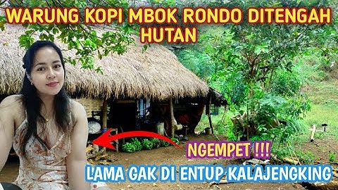 Viral !! Warung Kopi MBOK RONDO ditengah hutan || bikin betah ngopi berlama-lama sampai lupa waktu