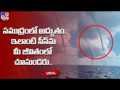 సముద్రంలో అద్భుతం..ఇలాంటి సీన్‌ను మీ జీవితంలో చూసుండరు.. @TV9 Telugu Digital