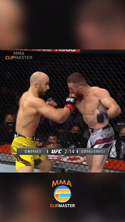 Merab Dvalishvili is a CRAZY MFer!! MEGA COMEBACK WIN over Marlon Moraes