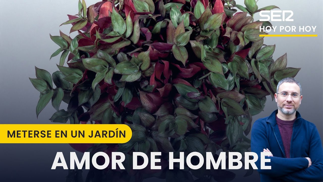 ⚜️ Amor de hombre, caquis y plantas para el frío | Meterse en un jardín, con Eduardo Barba