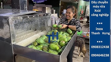 Dây chuyền máy rửa Xoài (Quéo) công nghiệp. Máy rửa trái cây củ quả đa năng 3 khoang