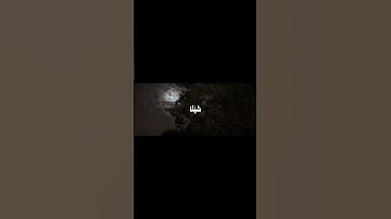 سورة يس، الشيخ احمد بن طالب #القرآن_الكريم #المصحف #قرآن #تلاوه