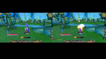 Feenix WoW 2.4.3 - Shadowlock vs Firelock showdown!