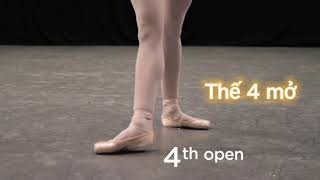 Ballet - 5 thế chân cơ bản.