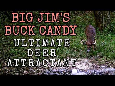Cheap DIY deer