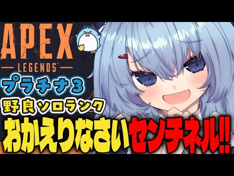 【APEX/プラチナ3】センチきた？！初見さんもおはよう🌞キーマウソロランク【xTies_ゆるりめぐ/vtuber】