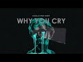KADA C WHY YOU CRY Ft DIZZ KADA C WHY YOU CRY Ft DIZZ