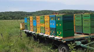 картинка: 20 июня 2021 г.