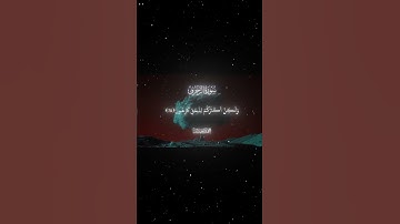 سورة الزخرف|77-80|القارئ:#محمد_اللحيدان #قران #quran #راحة_نفسية #قران_كريم #تلاوة_هادئة#تلاوة_خاشعة