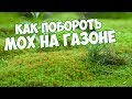 Мох на газоне 🌱  Как избавится ? ✔️  Сад огород