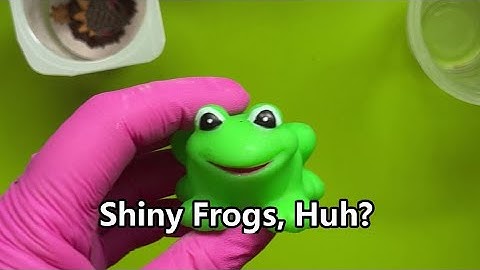 #117 DULL MOLD SOLUTION! Shiny Frogs
