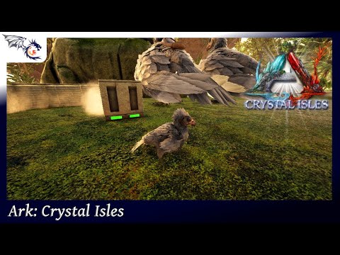 Breeding & Hatching Argentavis For The Boss Fight | ARK: Crystal Isles #46