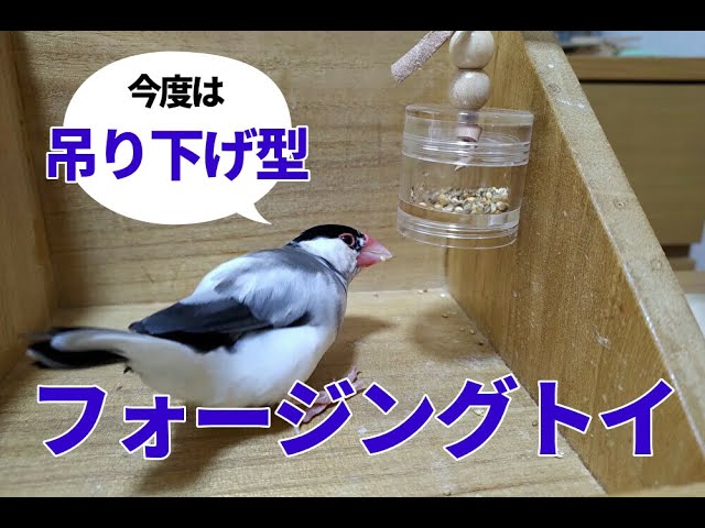 吊り下げ型 フォージングトイ - YouTube