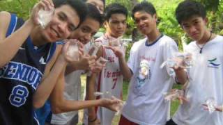 Fourth Year molave