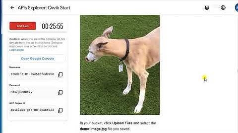 APIs Explorer Qwik Start | Qwiklabs [GSP277]