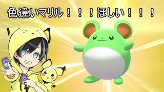 ポケモン剣盾 色違いマリル厳選 Youtube ポケモン剣盾 色違いマリル厳選 Youtube