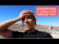 2 WEEKS in Joshua Tree National Park. LIVING & WORKING FROM A TENT