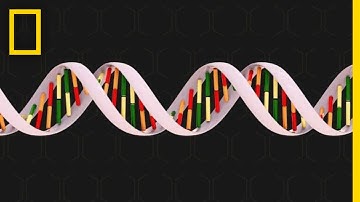 Genetics 101 | National Geographic